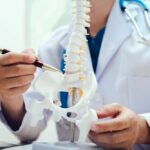 The,Intervertebral,Disc,Is,A,Cushion-like,Structure,Between,Vertebrae,In